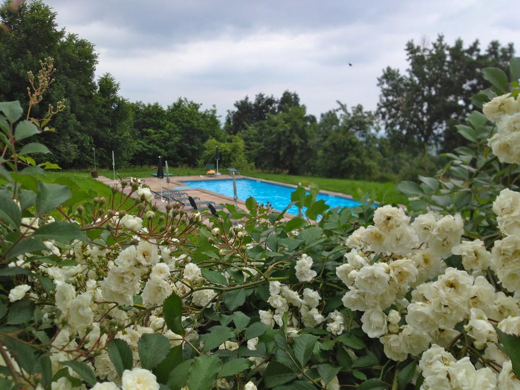 Agriturismo Famiglia Al Castello Di Bagnolo Bagnolo Piemonte الغرفة الصورة